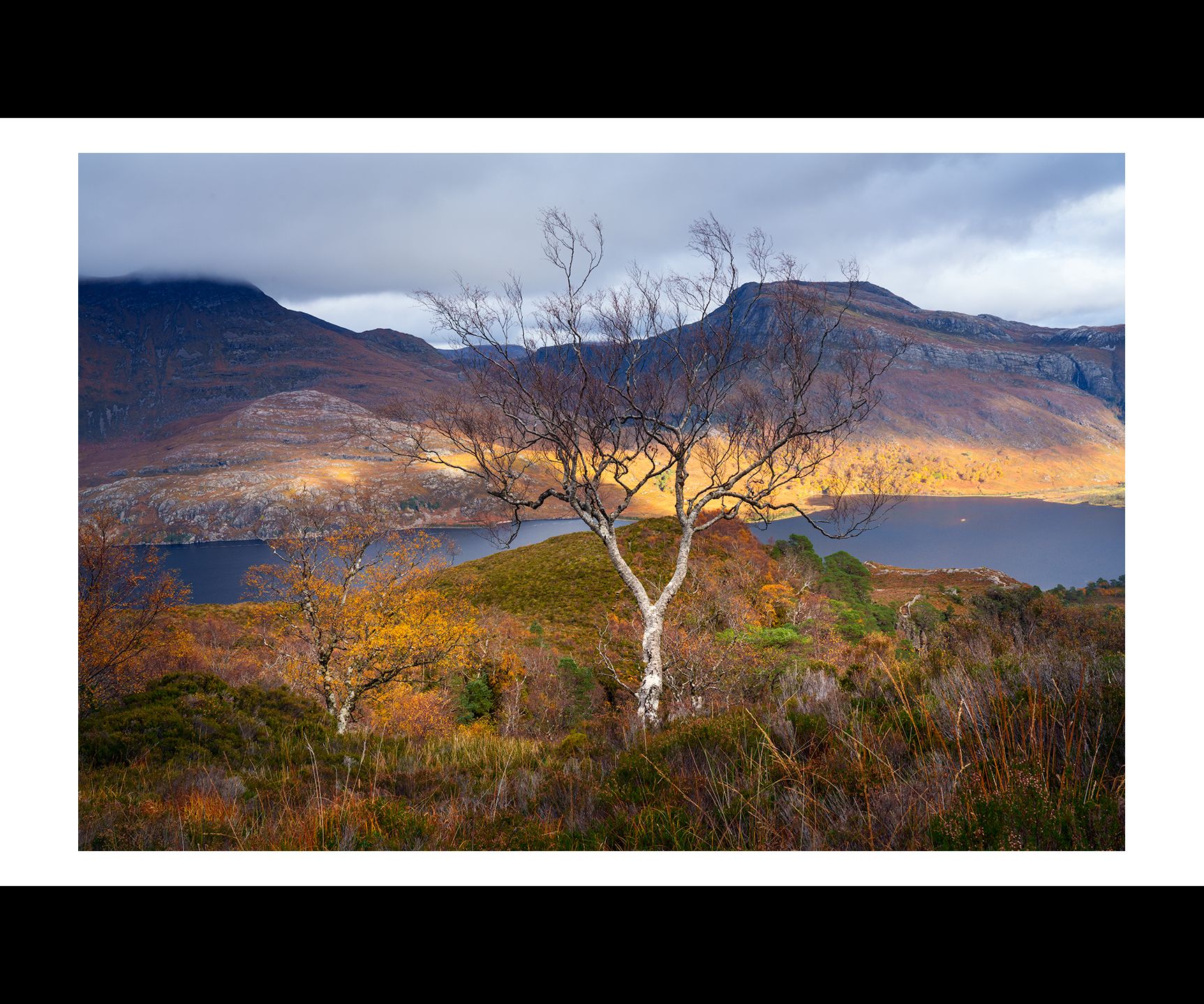 alternate view with border