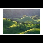 alternate view with border