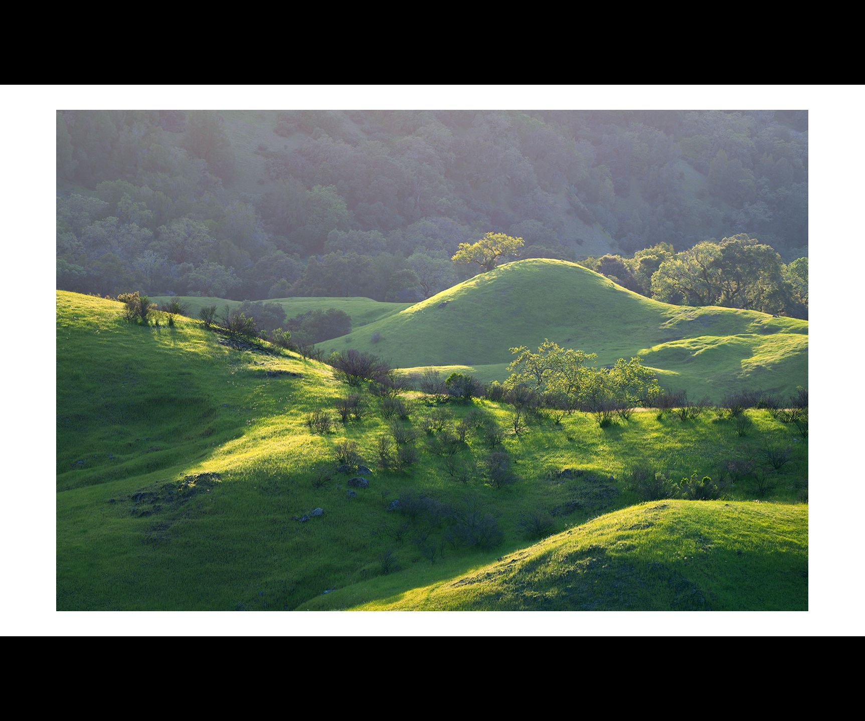 alternate view with border