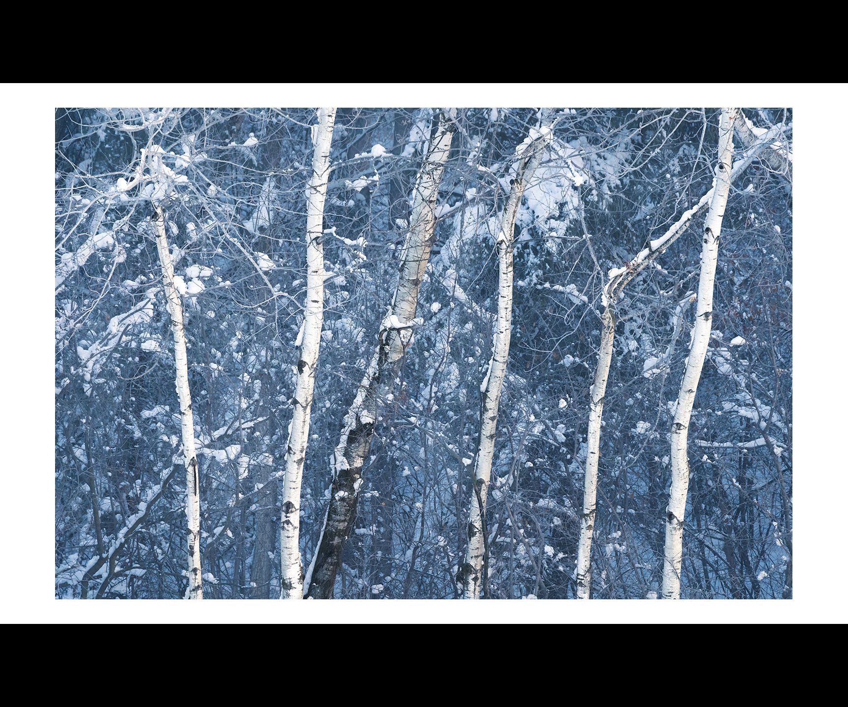 alternate view with border